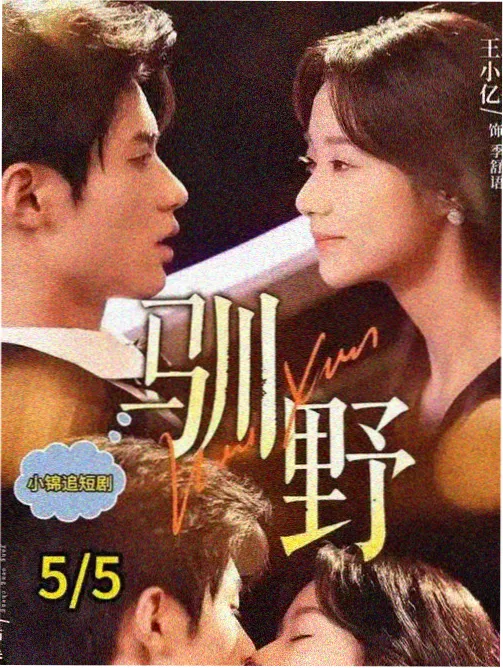咒术回战 免费影视观看